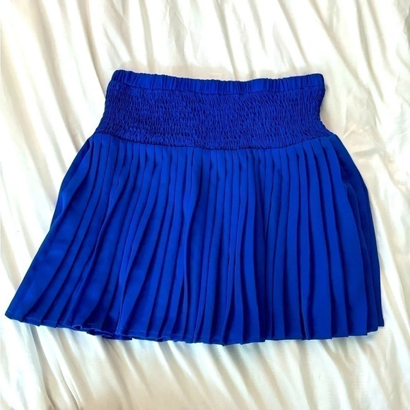 TCEC Blue Pleated Skirt - Picture 2 of 3